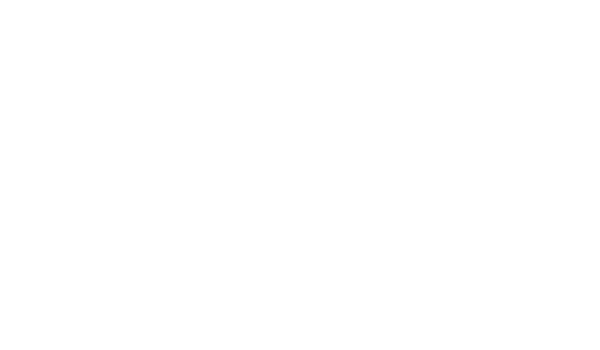 logo Bergamo Consulting